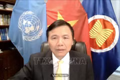 Vietnam exige mayor protección infantil en conflictos en medio de pandemia