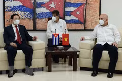 Vietnam y Cuba intercambian experiencias en construcción partidista