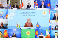 Instan a fomentar cooperación ASEAN+3 en lucha contra COVID-19