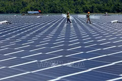 Resaltan esfuerzos de Vietnam en transición a energía limpia
