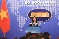 Vietnam protege a extranjeros residentes en el país 
