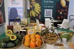 Participa Vietnam en Feria internacional de frutas y verduras en Italia