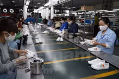 Exportaciones vietnamitas de calzado superan los 11 mil millones de dólares