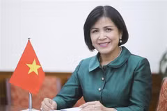 Destaca Vietnam papel de la UNCTAD para solidaridad internacional
