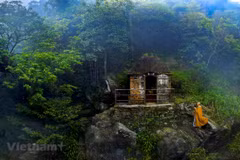 Exposición promueve budismo en Vietnam