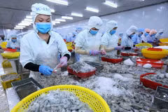 Vietnam espera una fuerte recuperación del consumo de mariscos