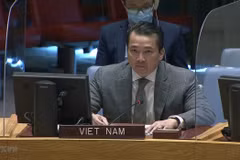 Insta Vietnam a estabilizar situación en la República Democrática del Congo