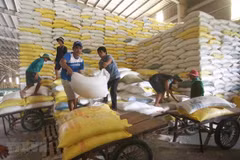 Empresas exportadoras vietnamitas necesitan adaptarse ante decisión de UEE