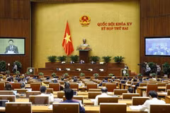 Continúan agenda de segundo período de sesiones del Parlamento de Vietnam