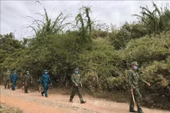 Vietnam colabora con otros países en fortalecimiento de lucha contra migración ilegal 
