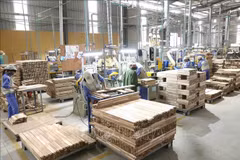 India no impone impuestos antidumping sobre productos madereros de Vietnam