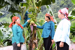 Promueven en Vietnam implementación de políticas de reducción sostenible de la pobreza