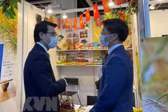 Vietnam amplía la cooperación con Hong Kong (China) en inversión y turismo