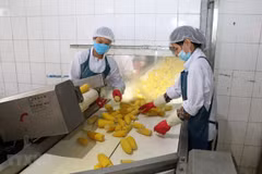 Valor de exportación de productos agrícolas de Vietnam aumenta casi 20 por ciento 