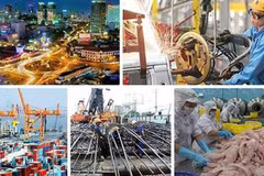 Aprecian oportunidades de inversión y negocios en Vietnam