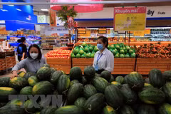 Resaltan competitividad de productos agrícolas de Vietnam