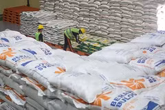 Indonesia planea importar dos millones de toneladas de arroz en 2024