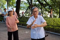 Instan a garantizar recursos para cuidado de personas mayores en Vietnam