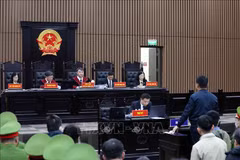 Abren juicio de primera instancia de caso de empresa Viet A