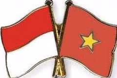 Portavoz de Vietnam destaca importancia de la visita del presidente indonesio