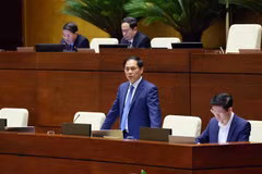 Canciller destaca logros de Vietnam en diplomacia cultural
