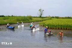 Premier de Vietnam ordena medidas contra calor y sequía