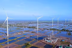 Banco Asiático apoya a Vietnam en respuesta al cambio climático