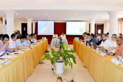 Nuevo proyecto financiado por UE para impulsar agricultura inteligente en delta del Mekong