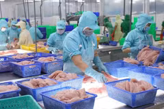 Señales positivas de exportaciones acuáticas en 2024