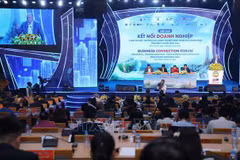 Provincia de Vietnam busca atraer más inversiones europeas
