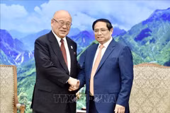 Premier recibe al asesor especial de Alianza Parlamentaria de Amistad Japón-Vietnam