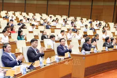 Lanzan campaña de emulación en saludo al 80 aniversario de primeras elecciones generales de Vietnam