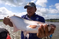 Empresa vietnamita NAVICO, segunda exportadora de pescado tra del mundo