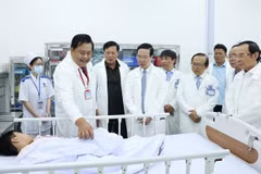 Exhortan a mejorar calidad de servicios pediátricos en Ciudad Ho Chi Minh
