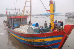 Provincia vietnamita de Thai Binh por lograr levantamiento de "tarjeta amarilla" de CE