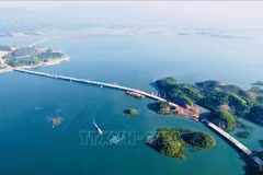 Vietnam intensifica desarrollo sostenible de economía marítima 