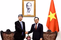 Viceprimer vietnamita recibe al subdirector general de la OIEA