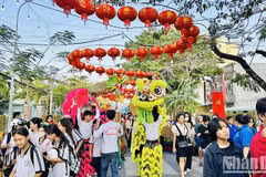  Celebran en provincia vietnamita Festival de Primavera 2024