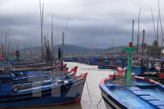 Provincia vietnamita en necesidad de medios para faenas en el mar 
