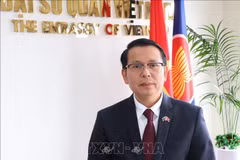 El embajador vietnamita en Nueva Zelanda, Nguyen Van Trung. (Fuente: VNA)