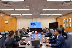 El panorama de la reunión. (Fuente: VNA)