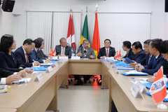 Vietnam y Brasil fortalecen nexos de cooperación bilateral