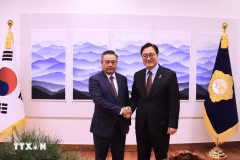El presidente del Comité Popular de Hanoi, Tran Sy Thanh, y el Gobernador de la provincia de Gyeonggi, Woo Won Shik. (Fuente: VNA)