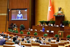 La gobernadora del Banco Estatal de Vietnam, Nguyen Thi Hong. (Fuente: VNA)