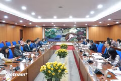 FMI: Perspectivas fiscales de Vietnam son relativamente estables