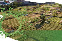 Tra Que de Vietnam entre los mejores pueblos turísticos del mundo en 2024