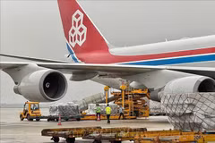 Los bienes patrocinados por la Organización Samaritan's Purse y el Gobierno suizo para las provincias de Yen Bai, Lao Cai y Cao Bang dañadas por el impacto del tifón Yagi son transportados al aeropuerto de Noi Bai (Hanoi), el 16 de septiembre de 2024. (Foto: VNA)
