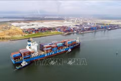 Puerto marítimo de Quang Nam avanzará en futuro próximo 