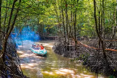 Vietnam trabaja por conservar ecosistemas de humedales