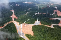 Energía eólica en provincia vietnamita de Quang Tri se desarrolla de forma eficiente
